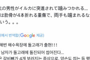 韓国人「日本の海水浴場にイルカが現れた結果…ﾌﾞﾙﾌﾞﾙ」