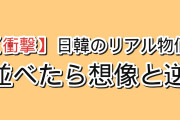 【衝撃】韓国人「日韓のリアル物価を11項目で並べたら、想像と逆だった」