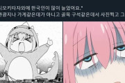 韓国人「韓国人観光客を見た『東京地元民の証言』がこちらです‥（ﾌﾞﾙﾌﾞﾙ」→「それは‥」　韓国の反応