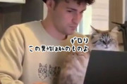 「この人は私のものだから」人間女性を挑発し、男性に熱い口づけを交わす猫