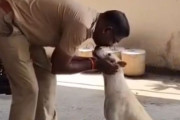 消防士が引退する日、最後までそばを離れなかった犬の純粋な愛情に胸を打たれる