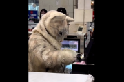 海外「猫の手も借りたいほどなのか」猫（の着ぐるみ）が接客する日本のスイーツショップに対する海外の反応