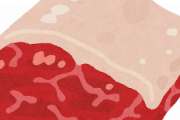 韓国人「日本の赤毛の牛もやっぱり韓国の牛なんだそうです」