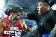 韓国人の反応「ノッコン寺田vsキム・ジェフン試合」感動もの・真の友情が芽生えた！感嘆の声に簡単だなと