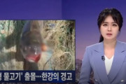 韓国人「福島より深刻に見える‥」韓国漢江に目玉が飛び出した奇形魚が頻発！汚水の影響でヒモ虫も大繁殖！」　韓国の反応