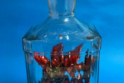 海外「日本人が瓶の中でガンプラを組み立ててる、魔法でも使ってるのか？」