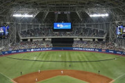 韓国人「日本語も韓国語も野球用語は同じなのですが、どちらが先に丸パクリしたのですか？」　韓国の反応