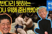 相撲観戦の時、あぐらをかけないトランプに安倍が準備したものとは？＝韓国の反応
