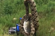 川に魚を釣りに出かけた男性→魚に巻き付く○○を釣ってしまって( ﾟдﾟ)ポカーン！