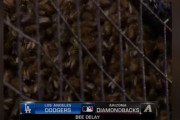 【さすがMLB】大谷翔平もビックリ、ドジャース対ダイヤモンドバックスの始球式を投げた人物（マット・ヒルトン）