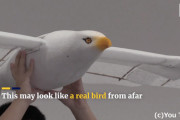 鳥？ロボット？いや、ドローンなんです。中国の最新式鳥型ドローンがすごい！