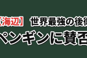 【海辺】『世界最強の後衛』第12話、最終回のペンギンに海外賛否