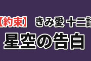 【約束】『きみ愛』第十二話、星空の告白に海外ほっこり