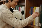 中国人「日本の書店の壁一面の文庫コーナーと、中国の出版市場」　中国人「日本の書店がうらやましすぎる」「中国はかつて・・」