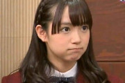 中元すず香と中元日芽香、日本ではどっちのほうが人気があるの？　【海外の反応】