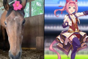 海外ウマ娘ファン「現実のハルウララに牧草を寄付で出来るぞ」⇒サーバーパンク