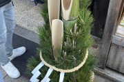 Why do I see these everywhere in Tokyo