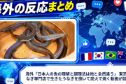 海外「日本人の魚の理解と調理法は他と全然違う」 東京のうなぎ専門店で生きたうなぎを捌いて炭火で焼く動画が話題に