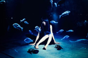 日本の水族館の飼育員が「毎日思ってること」が正直で笑ってしまうｗｗｗ【台湾人の反応】