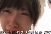 【動画あり】韓国人「日本は貧富の差は韓国より酷い」日本の庶民は貧しい、日本の美少女が「美味しいご飯が食べたい」と号泣‥　韓国の反応