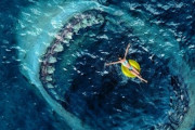 【こっわ】古代巨大サメ「メガロドン」、初めて体長の大きさが判明
