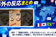 海外「『韓国の寿司』と呼ぶのはいいよ」 キンパと寿司の違いを解説した動画に、呼び方をめぐる意見が真っ二つ