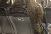 外国人「説明しなくてもイギリスと分かる画像を集めてみたｗｗｗｗ」