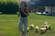 仔犬「まってくれー」女性と追いかけっこする仔犬達が可愛い