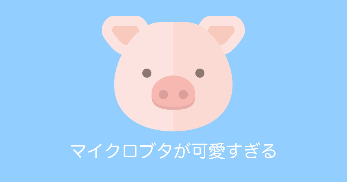 日本の「マイピッグカフェ」の子ブタちゃんが可愛すぎると話題に！【台湾人の反応】 | 海外の反応アンテナ
