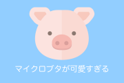 日本の「マイピッグカフェ」の子ブタちゃんが可愛すぎると話題に！【台湾人の反応】