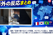 海外「日本で食べるインド料理、マジでレベル高い」 客席から丸見えのタンドールで焼くナンに日本のインド料理を称賛する声