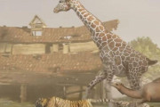 「陸上動物たちを一緒に走らせたら速度はどのくらい？」比較動画が人気を集める