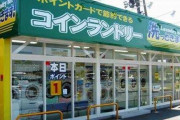 中国人「日本の家庭には洗濯機がないのが普通なのか？」　中国の反応