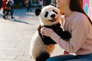 中国人「日本人が痩せている理由は恐らくこれ」　中国人「でもこれ、おいしいよ」「中国人は感情を満たし過ぎ」