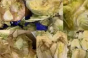 【悲報】韓国人「韓国の食品子会社が腐った生ゴミで作ったキムチの70％を海外輸出して居た事が判明！」汚い腐ったキムチを食べられますか？　韓国の反応