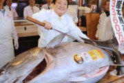 【韓国の反応】日本の一番マグロ…67キログラムの差だが、3年前の価格は33億ウォン。韓国の反応「放射能マグロ。福島汚染水を放流したら海産物を食べない。」