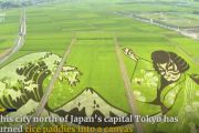 【海外の反応】「日本の農業と芸術が融合した！」日本の田んぼアート。