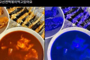 赤いトッポッキ写真まで政治色扱いされる韓国選挙SNS、「キムチも自由に食べられないのか」と呆れ声
