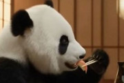 中国人「アメリカ人が日本料理と中華料理を食べ比べたらこうなった」　中国人「さすがアメリカ」「日本食は寿司と寿司と寿司？」