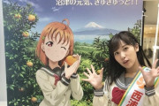 日本で物議を醸しているアニメのパネルに海外びっくり仰天！（海外の反応）