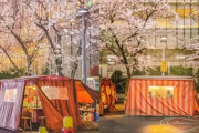 【画像あり】韓国人「韓国で桜の花見をしながら『うどん』を食べるのが人気に！」韓国の「桜屋台通り」をご覧ください　韓国の反応
