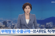 【韓国の反応】日本の対馬、「観光客の代わりに韓国のゴミばかり」…「全部安倍がダメにした」