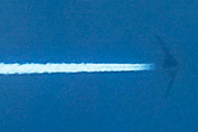 海外　フィリピン上空で撮影された「謎の全翼機」