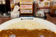 外国人「カレー好きなら絶対に日本のカレーは食べるべきだよな」