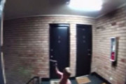海外「アメリカ、実弾の入ったハンドガンで遊ぶ乳幼児。親はネグレクトで逮捕」