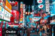 海外「大阪に行ったことがあるけど、道頓堀の散策は本当に楽しかったよ」夜の道頓堀を撮影した動画が話題に（海外の反応）