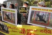 【極悪非道！】韓国人「Kドラマの撮影で馬を意図的に転倒させ、馬が首を骨折して死亡！」動物団体が「動物虐待」で告発　韓国の反応