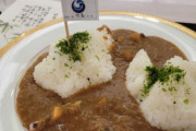 【いつもの】韓国人「竹島の日に合わせて“竹島カレー”提供とか…日本の挑発が止まらない件」