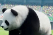 中国人「サッカー日本女子代表、見た目は中国と変わらないのになぜ強い」　中国人「メッシに匹敵」「日本人は頭を使う」