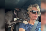 【海外】「里親キャンセルで悲しむレスキュー犬を癒すシェルター犬の感動物語」